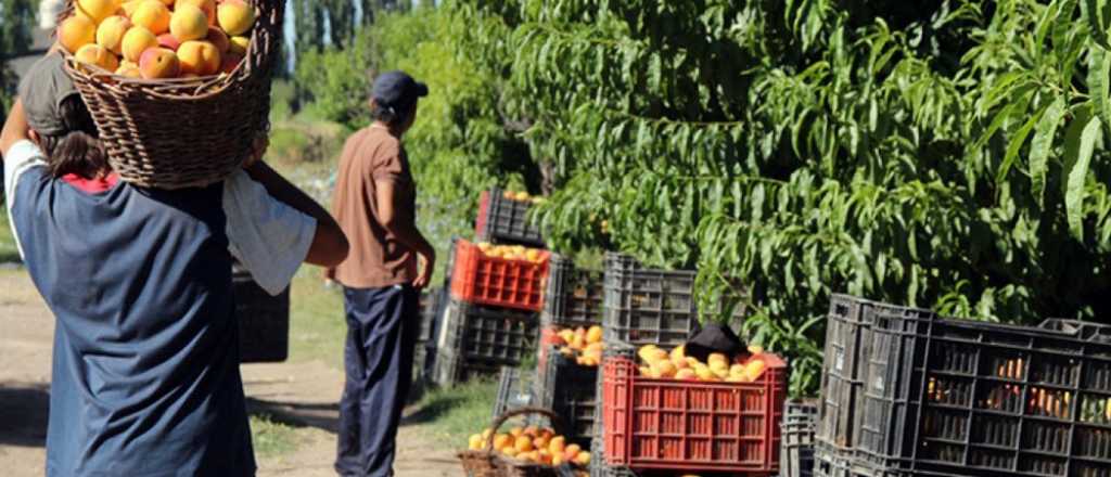 Exceso de legítima defensa: imputaron al finquero que mató al ladrón de duraznos  