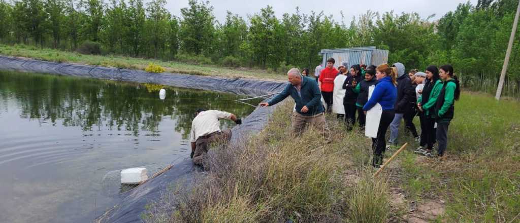 Instalan rampas de rescate de fauna en un reservorio de agua