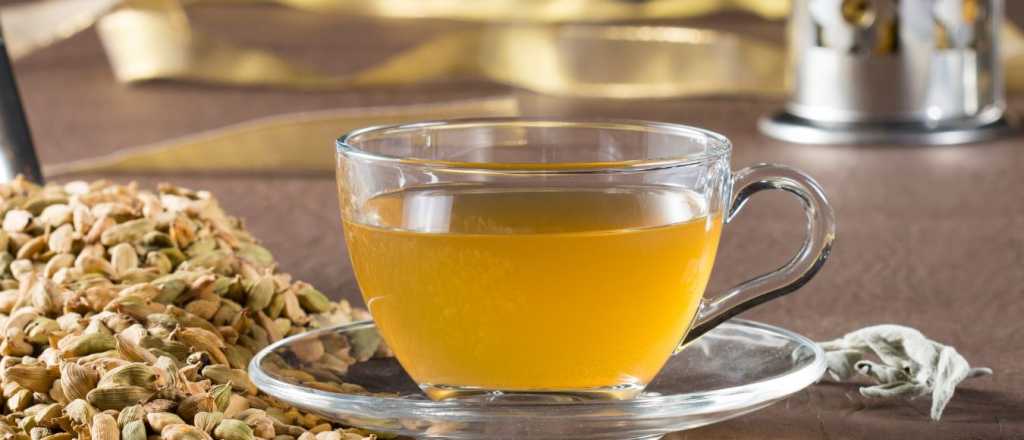 Té de hinojo: la infusión natural que esconde grandes beneficios