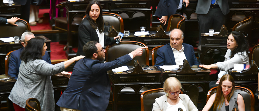 Ficha Limpia: qué diputados mendocinos "ayudaron" a Cristina Kirchner