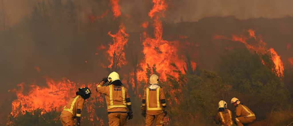 Incendio de 200 hectáreas en Chile: sospechan que sea intencional