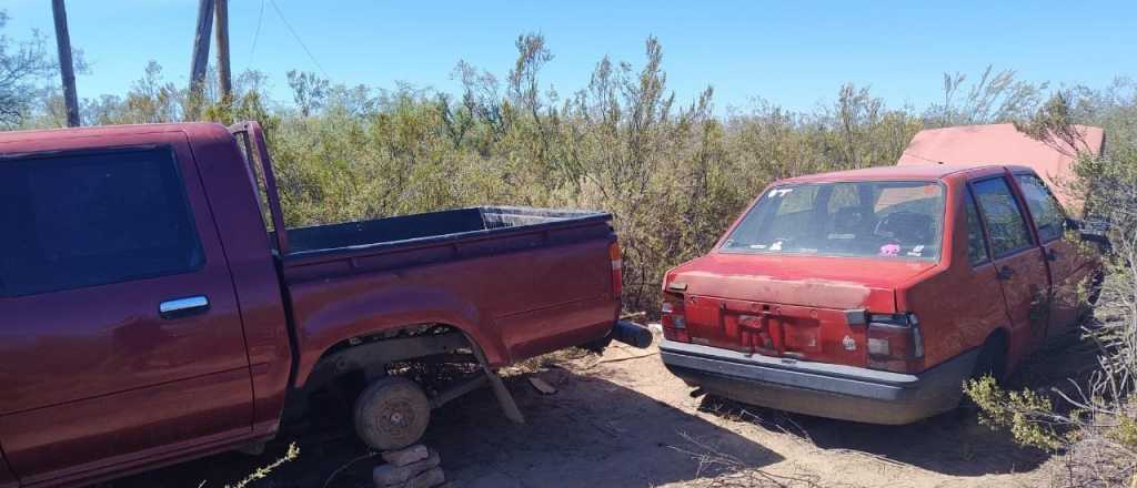 Buscaban chanchos robados  y encontraron autos sustraídos, en Tupungato