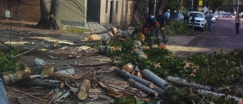 Zona x zona: los destrozos que dejó la fuerte tormenta en Mendoza 