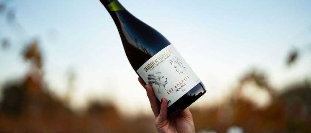 El vino mendocino de más de $200.000 que llegó a ser el mejor de Argentina