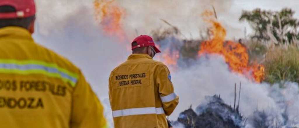 Controles y multas millonarias por provocar incendios en las Fiestas