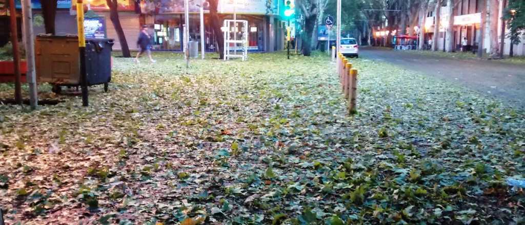 Alerta en Mendoza por posible granizo