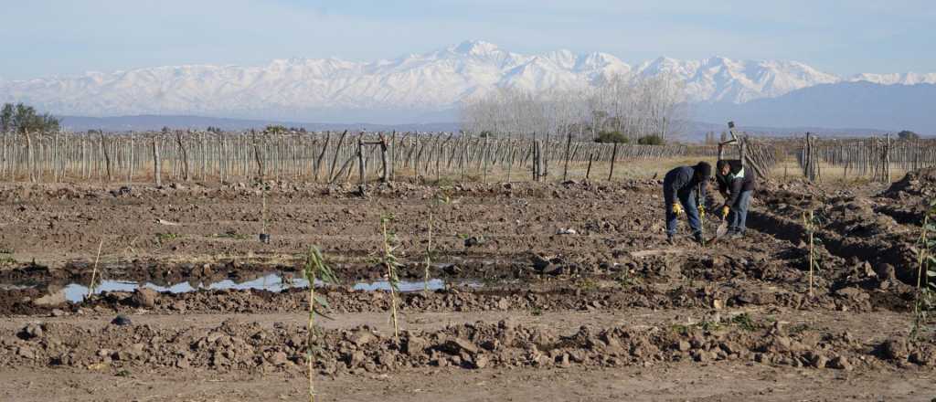 Junín invertirá más de $450 millones para mejorar una planta depuradora