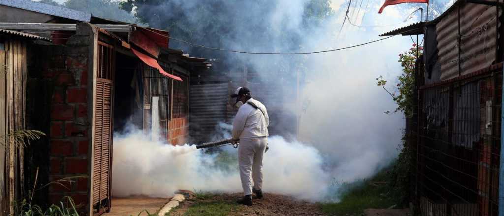 Brasil registró 6,5 millones de casos de dengue en 2024