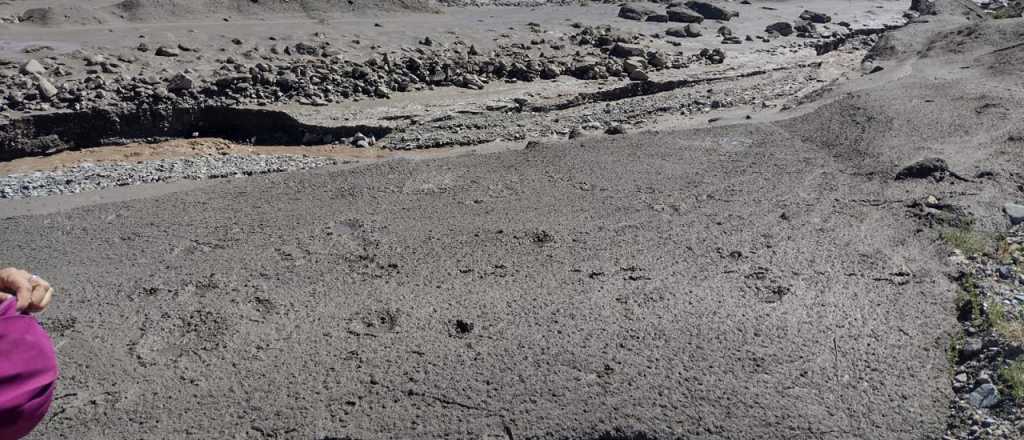 Un gran alud cayó sobre ruta 89 entre Potrerillos y Tupungato