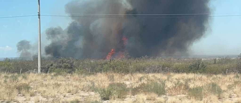 Un incendio arrasó con 20 hectáreas de un campo en Tunuyán