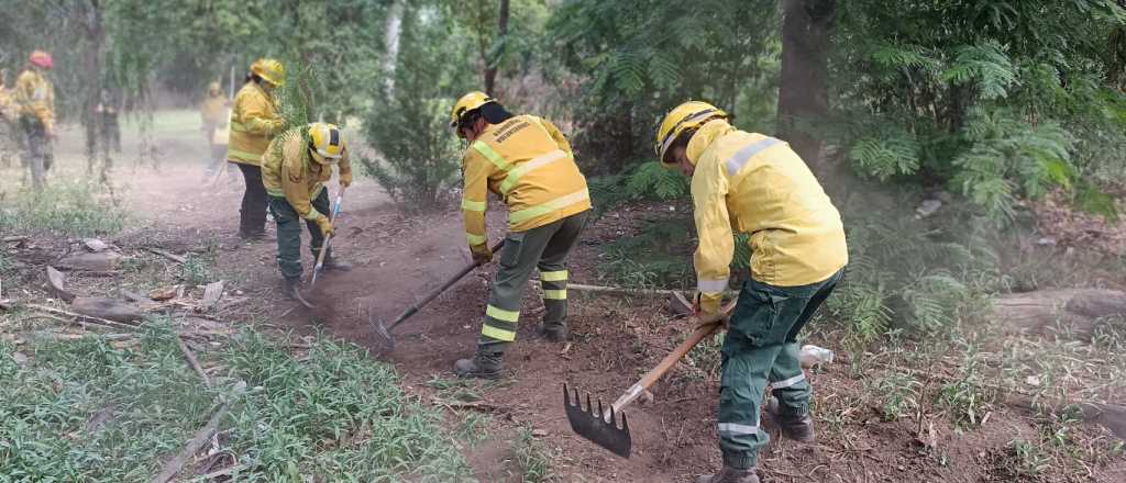 Multas de hasta $58 millones por hacer fuego en zonas no autorizadas