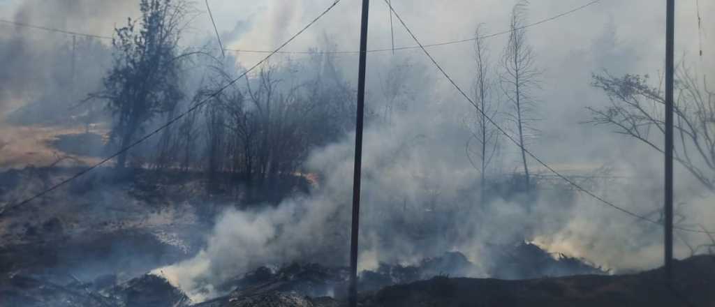 Cientos de mendocinos estuvieron varados en Chile por un incendio forestal