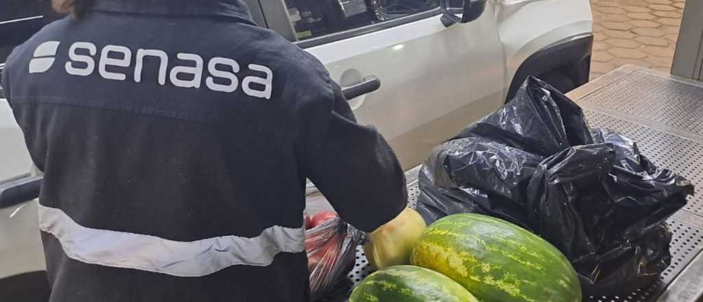 Decomisaron 2 toneladas de comida en el Paso durante el segundo semestre