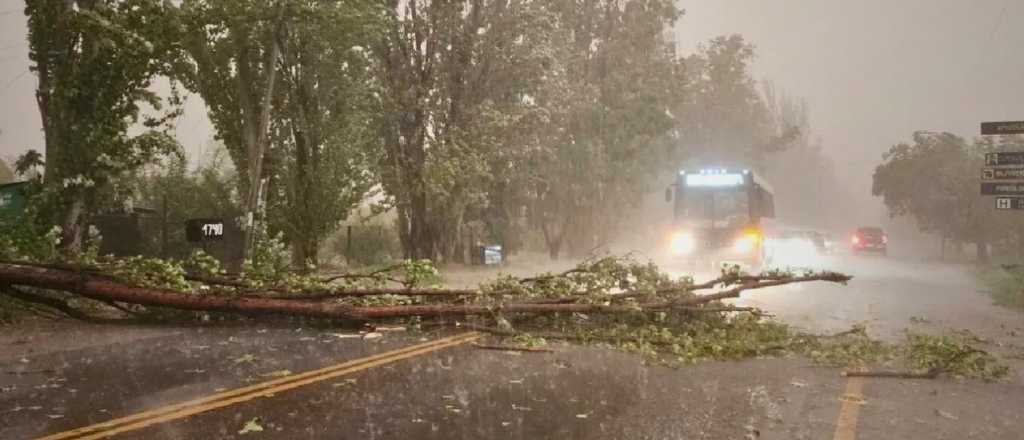 Tormentas en Mendoza: mirá el radar en tiempo real