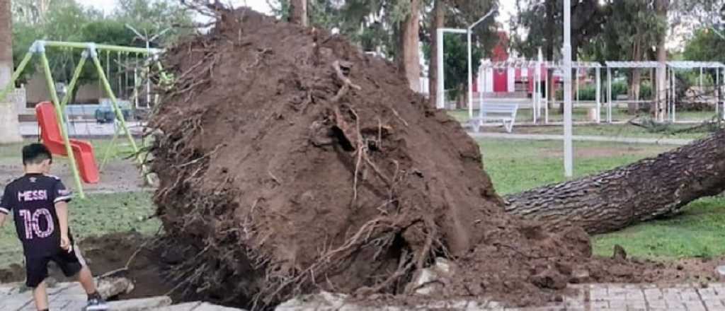 Más de 50 postes caídos, voladura de techos y más daños del temporal