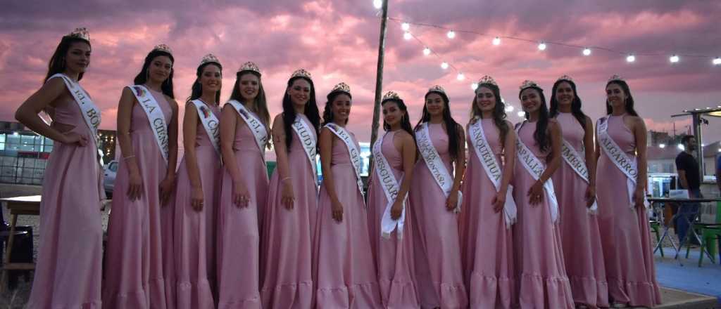 Una por una: las doce candidatas a representante de Las Heras