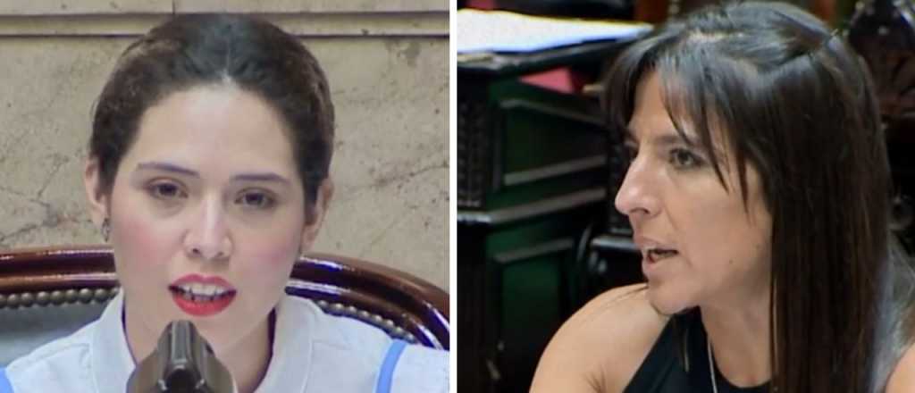 Cruce de diputadas mendocinas en el Congreso
