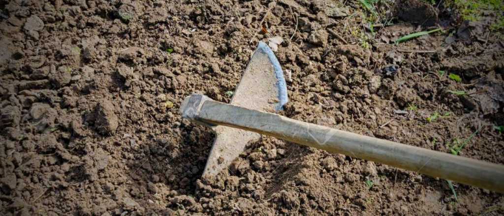 Golpeó con una zapa en la cabeza a un familiar en Tunuyán y quedó imputado