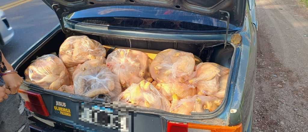 Secuestraron más de 200 kilos de alimentos mal conservados en San Carlos