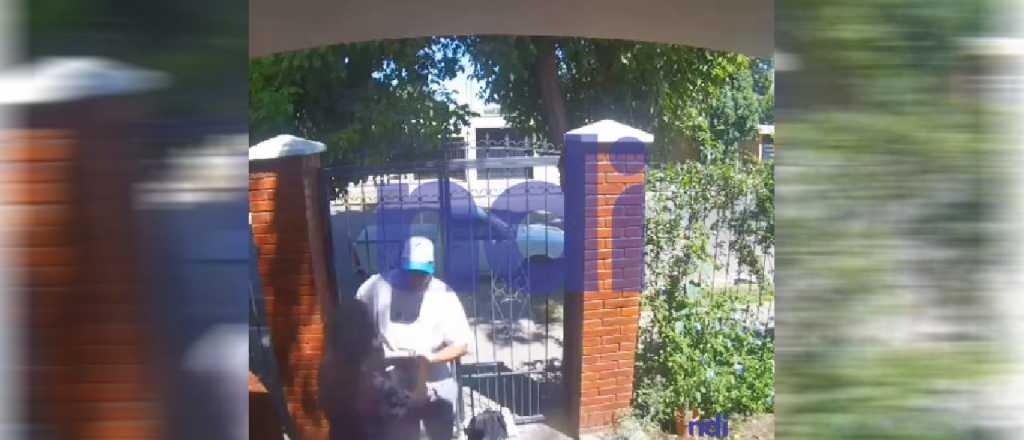 Video: entraron a robar en una casa de Tunuyán a plena luz del día