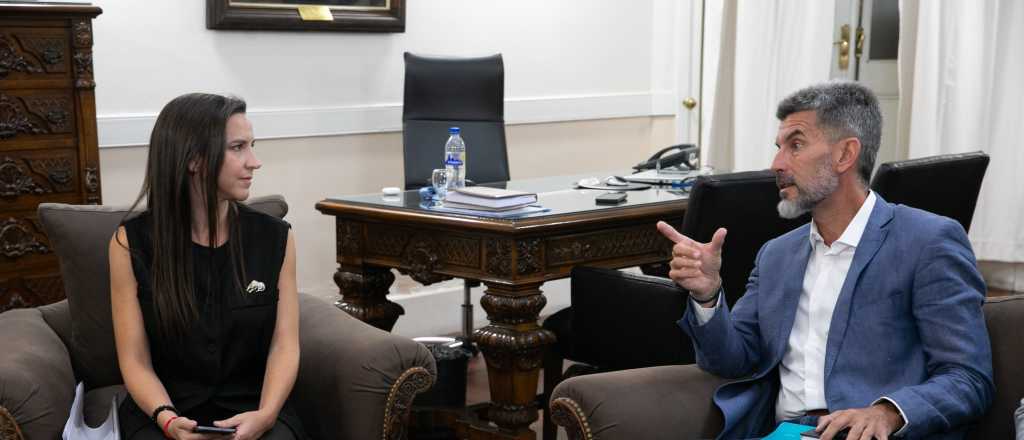 Presentaron el proyecto para que los preventores usen pistolas Taser