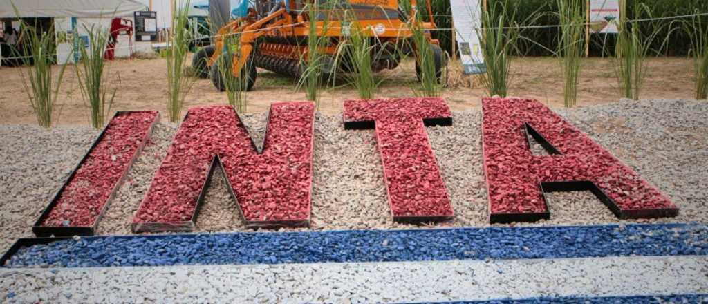 Qué pasa con el INTA: preocupación por el nuevo ajuste que se viene