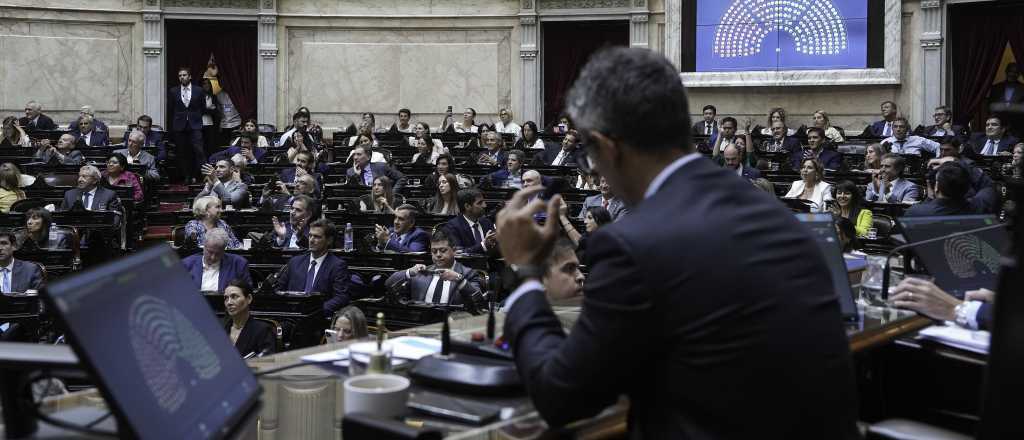 Una diputada mendocina sorprendió con su voto en el Congreso