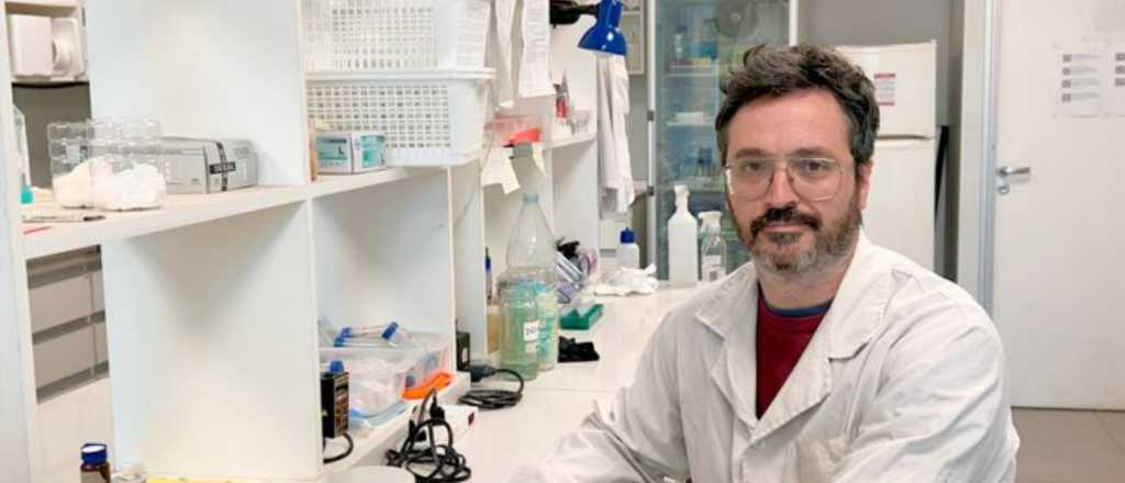Con aporte mendocino, identificaron el rol clave de una proteína