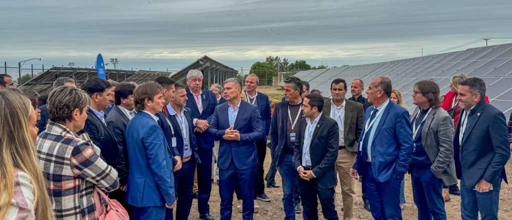 Costarelli: "El cuidado del ambiente no es algo electoralmente sexy"