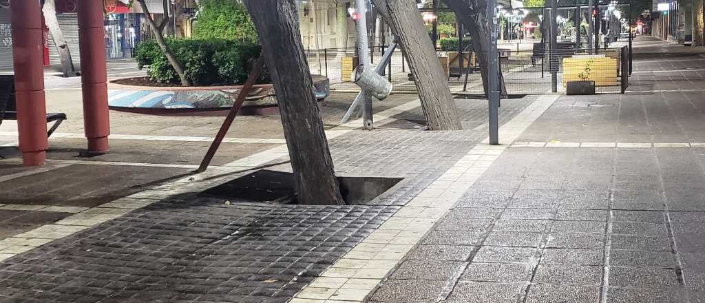 Veredas pegajosas en Mendoza: una plaga difícil de combatir