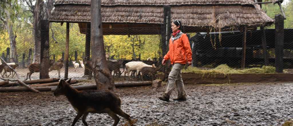 Así está el Zoológico de Mendoza tras el cierre