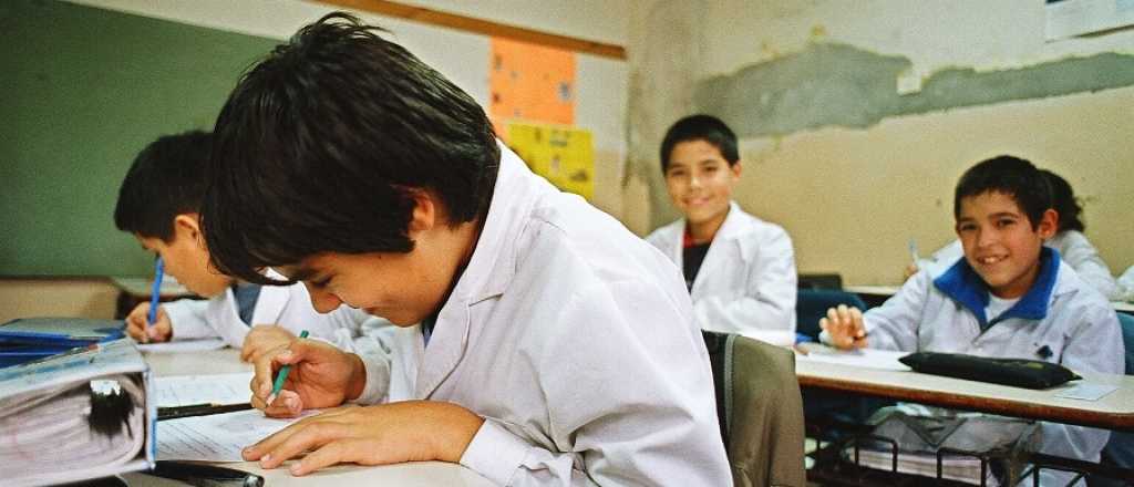 Mirá la oración de este chico con la palabra "gato"