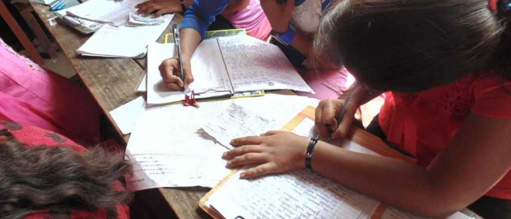 Estos beneficios tiene la manzanilla si estás por rendir un examen