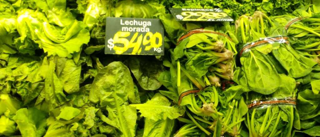 ¿Cuántos tipos de lechuga existen?