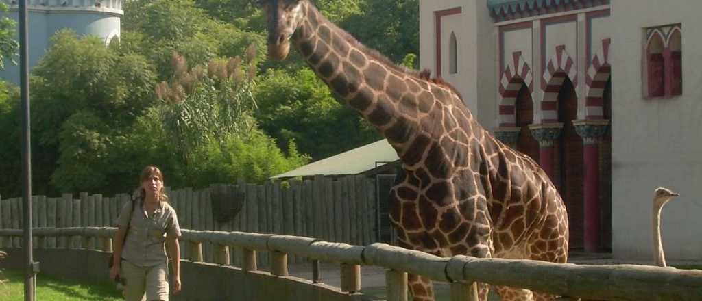 ¿Presagio para Mendoza? Cerraron el Zoo de Buenos Aires y será un ecoparque