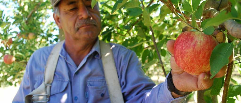 Iscamen: un gravísimo golpe a la economía de Mendoza