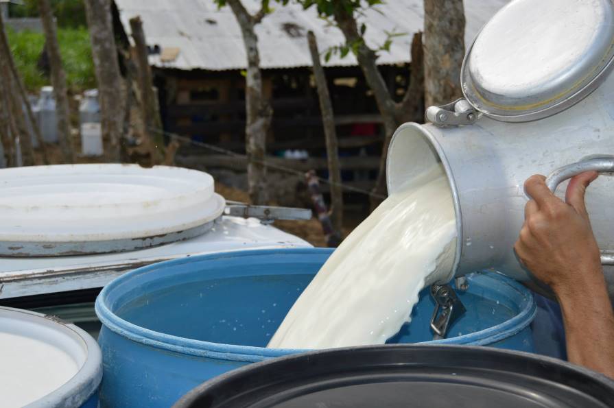 Argentina Es El Segundo Pas Con La Leche Ms Cara Mendoza Post