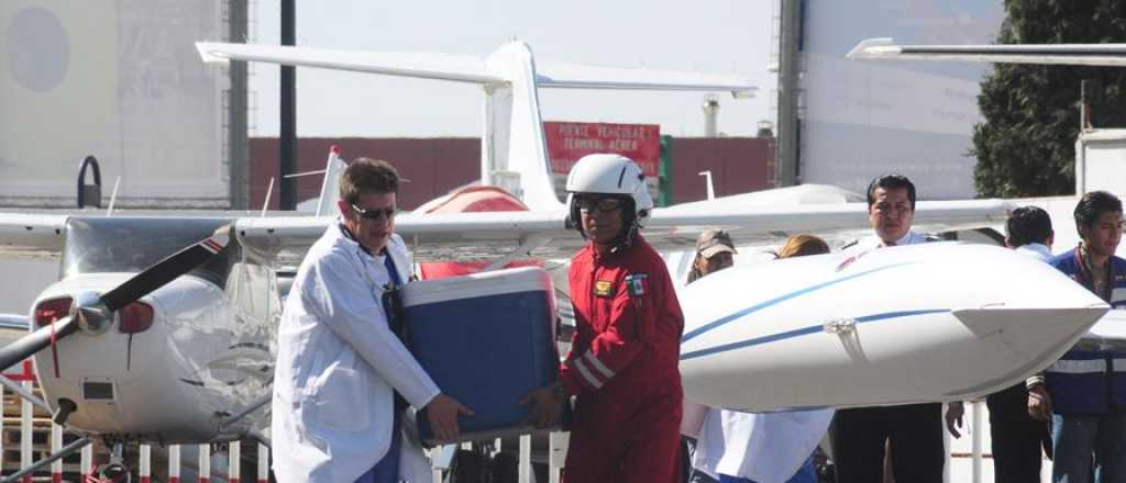 En pandemia, Argentina superó los 500 trasplantes de órganos