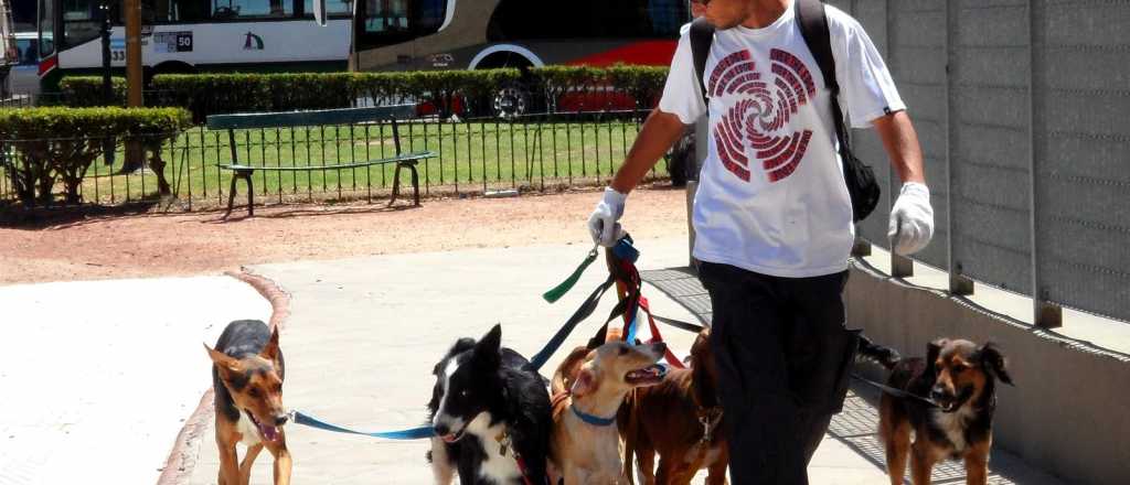 ¿Cuál es la mascota preferida de los argentinos?